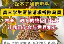校长拒拆鸟巢：不迎合的温柔是孩子最动人的成人礼 |新京报快评-紫竹林-程序员中文网