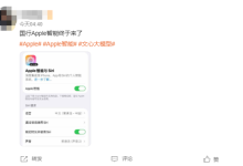 苹果深夜大乌龙！国行AI意外上线又紧急撤回 原因曝光-紫竹林-程序员中文网