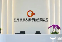 东方嘉富人寿副总刘大勇转正升任总经理 他去过的单位真不少-紫竹林-程序员中文网