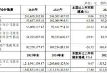 龙图光罩2025年营收稳中有进 聚焦高端制程推进国产替代-紫竹林-程序员中文网