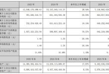 华阳集团2025年营收130.48 亿元 同比增长28.46%-紫竹林-程序员中文网
