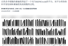 葡萄牙、瑞典科研团队首次在实验室中重编程抗肿瘤免疫细胞-紫竹林-程序员中文网