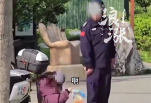 女子景区遛狗不牵绳 保安劝阻后反遭倒地碰瓷-紫竹林-程序员中文网