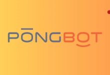 庞伯特半年连融三轮，累计近 2 亿元，华创资本参与投资-紫竹林-程序员中文网
