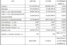 龙腾光电发布 2026 年第一季度报告 营收同比下滑经营业绩承压-紫竹林-程序员中文网