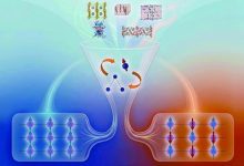 科学家为磁性分类建立统一对称性框架-紫竹林-程序员中文网