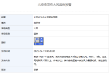 北京市发布大风蓝色预警-紫竹林-程序员中文网