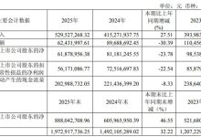 胜科纳米2025年营收破5.3亿元 半导体检测龙头份额持续提升-紫竹林-程序员中文网