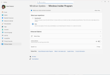 微软重塑 Win11 预览版体验：简化频道、全量推送、切换更顺-紫竹林-程序员中文网