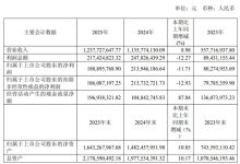 先锋精科发布2025年年度报告：营收稳步增长 深耕半导体精密零部件国产替代-紫竹林-程序员中文网