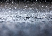 大风、沙尘、暴雨要来了！专家支招如何防护-紫竹林-程序员中文网