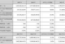 南大光电2025年年度报告：业绩九连涨 高质量发展稳步推进-紫竹林-程序员中文网