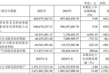 深耕LED驱动芯片 明微电子2025年营收同比增 9.48%-紫竹林-程序员中文网