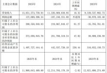 士兰微2025年业绩稳健增长 净利润同比增81.27% 布局高端半导体赛道提速-紫竹林-程序员中文网