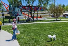 东六环福园开放首日：开设游览车，草坪、乐队演出文艺气息浓郁-紫竹林-程序员中文网