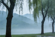 今天清明节 全国雨纷纷地图出炉 南方成阴雨核心区-紫竹林-程序员中文网