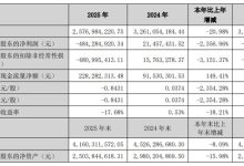 经纬辉开发布 2025 年年度报告：触控显示业务实现营收 13.31 亿元-紫竹林-程序员中文网