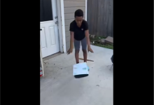 母亲强逼儿子砸烂PS5主机！因虐待猫咪遭严厉惩处-紫竹林-程序员中文网