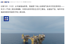 我国首个海上注碳增气项目开工，年封存超百万吨二氧化碳-紫竹林-程序员中文网