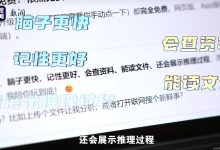 DeepSeek上新，国产算力“顶上去”了 | 新京报快评-紫竹林-程序员中文网