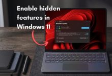 微软 Win11 将引入“功能标志”页面，用户可手动开关系统新功能-紫竹林-程序员中文网