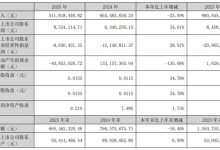 联建光电2025年净利增长34.61% 聚焦LED显示主业稳健前行-紫竹林-程序员中文网
