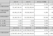 国风新材发布2025年年报：聚焦新材料转型 经营承压稳进-紫竹林-程序员中文网
