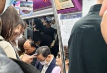 王传福夫妇坐地铁参加北京车展被偶遇，网友：绿色出行-紫竹林-程序员中文网
