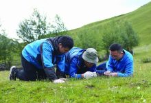 为雪域“听诊”-紫竹林-程序员中文网