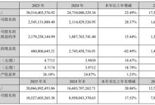 安克创新 2025 年营收突破 305 亿元 归母净利润同比增长 20.37% 全球化创新驱动高质量发展-紫竹林-程序员中文网