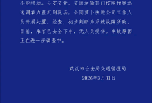多辆萝卜快跑行驶中突然停车 武汉交警通报：系统故障所致-紫竹林-程序员中文网
