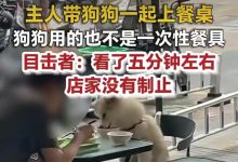 餐厅顾客带狗上桌吃饭，宠得没了边界 | 新京报快评-紫竹林-程序员中文网