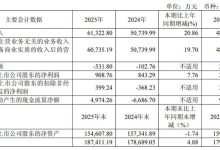 新相微 2025 年年度报告发布 营收净利双增 聚焦显示芯片高端化与 AI 协同布局-紫竹林-程序员中文网