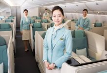 告别美丽刑具高跟鞋！大韩航空空姐将迎运动鞋时代-紫竹林-程序员中文网