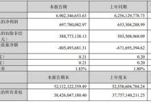 大华股份2026年Q1：营收净利双增经营质效稳步提升-紫竹林-程序员中文网