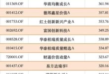 AI算力霸榜，25只基金近一年回报超300％，前十最低也赚了360％-紫竹林-程序员中文网