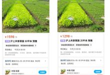 现实版 QQ 农场？盒马 App 可下单租地种菜，客服称正在小范围试点-紫竹林-程序员中文网