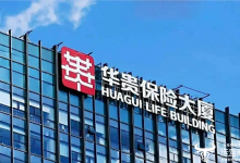 华贵保险副董事长杨丽代行董事长职责 总经理罗振华已经61岁了-紫竹林-程序员中文网