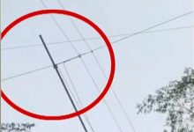 女子瀑布秋千坠亡直接原因公开:释放开关提前松开-紫竹林-程序员中文网