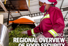 FAO:2025年粮食安全与营养状况非洲区域概览-紫竹林-程序员中文网