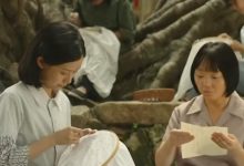 《给阿嬷的情书》里,尽显中国人最朴素的情与义 | 新京报专栏-紫竹林-程序员中文网