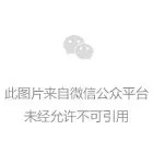 零一汽车两个月累计融资4亿美元,国际资本与产业资本同时加码 | 元璟family-紫竹林-程序员中文网