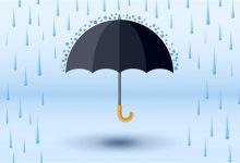 多地迎来强降雨:自驾出行需谨慎-紫竹林-程序员中文网