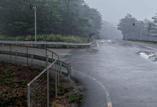 老外玩《极限竞速:地平线6》被画面惊讶到:分不清与现实区别-紫竹林-程序员中文网