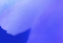 Mac 版 Codex 更新 Appshots 功能,窗口可直接“喂”给 AI-紫竹林-程序员中文网