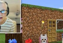 81岁奶奶直播游戏为患癌孙子筹款,却被报假警骚扰-紫竹林-程序员中文网