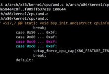 AMD Zen6阵容比预期更庞大!Linux补丁新增32款型号-紫竹林-程序员中文网