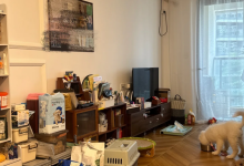 租房铲屎官怎么清理猫毛和异味?实用经验分享,告别被迫忍耐-紫竹林-程序员中文网