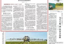 “空天地海”新一代通信网建设提速-紫竹林-程序员中文网